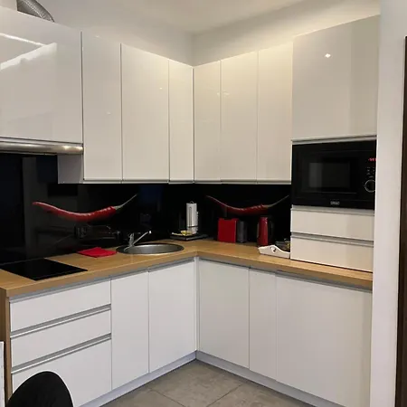 דירה Wierzbowa 5 פוזנן