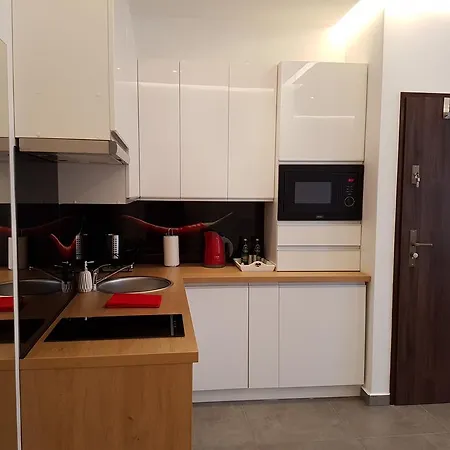 Modern Wierzbowa 5 * Poznan